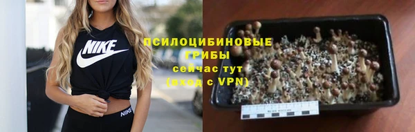 кокс Аркадак