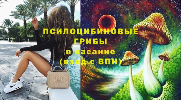 кокс Аркадак