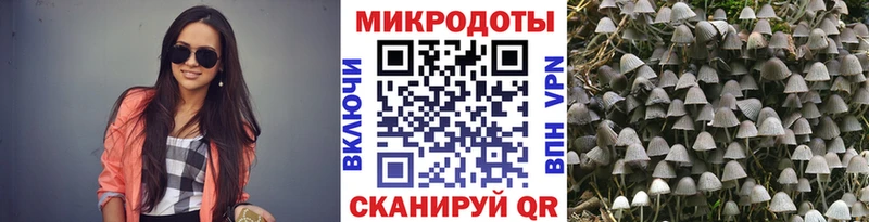 kraken зеркало  купить наркоту  Магадан  Псилоцибиновые грибы мухоморы 